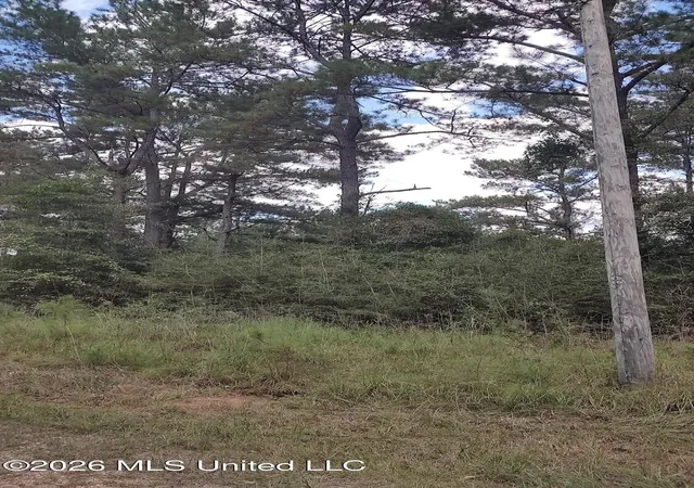 Land for sale at No Deer Crk Rd, Lumberton, MS 39455 | MLS# 4164235