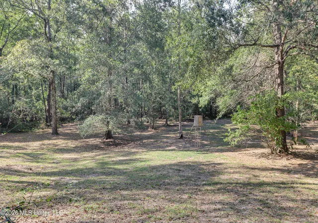Photo 3 of Single family home for sale at 41 Ollie Reeves Rd, Perkinston, MS 39573 | MLS# 4164283 | Listing updated on 2026-10-15