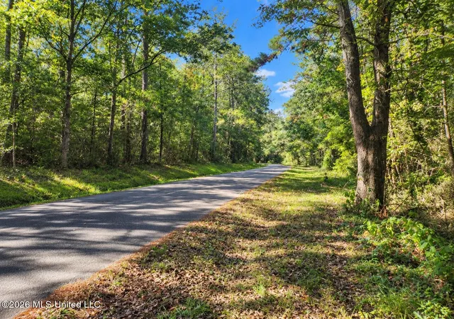 Photo 2 of Land for sale at Lot 4 Nhn Will Thompson, Picayune, MS 39466 | MLS# 4164287 | Listing updated on 2026-10-02