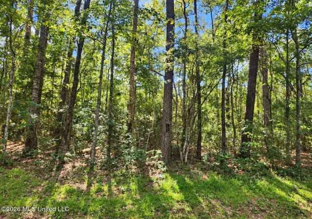 Photo 3 of Land for sale at Lot 5 Nhn Will Thompson, Picayune, MS 39466 | MLS# 4164293 | Listing updated on 2026-10-02