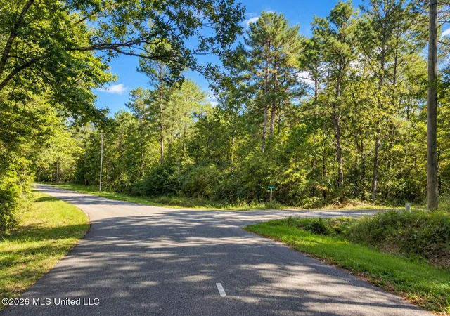 Photo 3 of Land for sale at Lot 11 Nhn Will Thompson, Picayune, MS 39466 | MLS# 4164317 | Listing updated on 2026-10-02