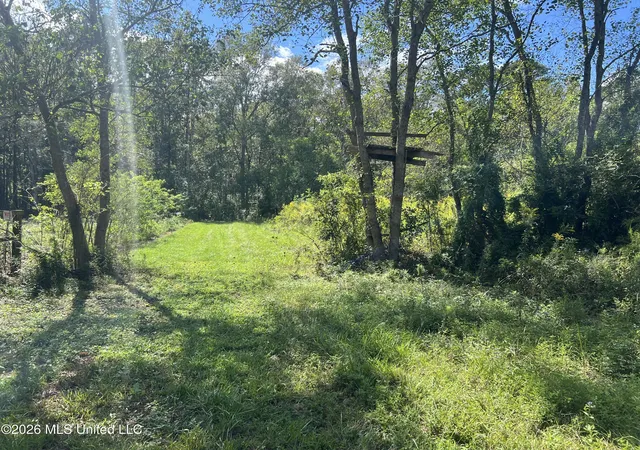 Photo 2 of Land for sale at 37 Horace E Mitchell Rd, Picayune, MS 39466 | MLS# 4164962 | Listing updated on 2026-10-08