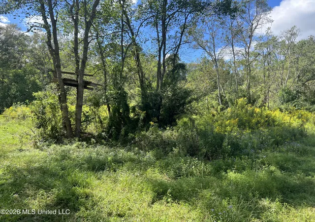 Photo 3 of Land for sale at 37 Horace E Mitchell Rd, Picayune, MS 39466 | MLS# 4164962 | Listing updated on 2026-10-08