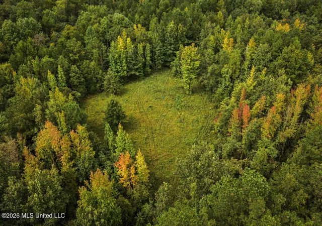 Photo 1 of Land for sale at 3300 Peoria Rd, Liberty, MS 39645 | MLS# 4164402 | Listing updated on 2026-10-02