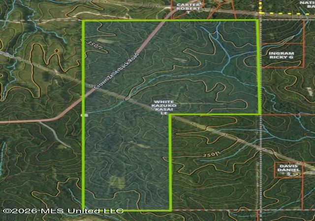 Land for sale at Crown Zellerback Rd, Lumberton, MS 39455 | MLS# 4164436