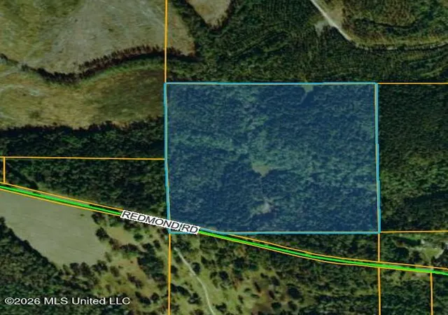 Land for sale at Redmond Rd, Lumberton, MS 39455 | MLS# 4164509