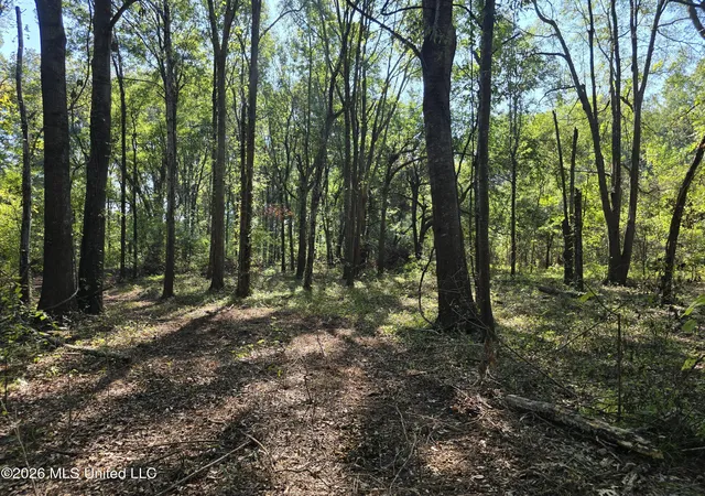 Photo 1 of Land for sale at W Highway 82, Greenville, MS 38701 | MLS# 4164675 | Listing updated on 2026-10-06