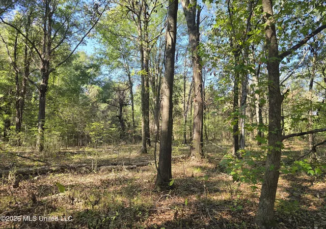Photo 3 of Land for sale at W Highway 82, Greenville, MS 38701 | MLS# 4164675 | Listing updated on 2026-10-06