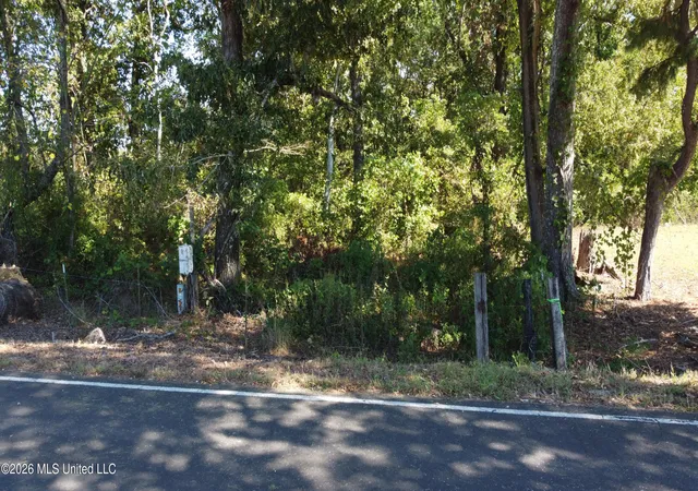 Photo 2 of Land for sale at 62 A Old Mississippi 7 S, Holly Springs, MS 38635 | MLS# 4164766 | Listing updated on 2026-10-28