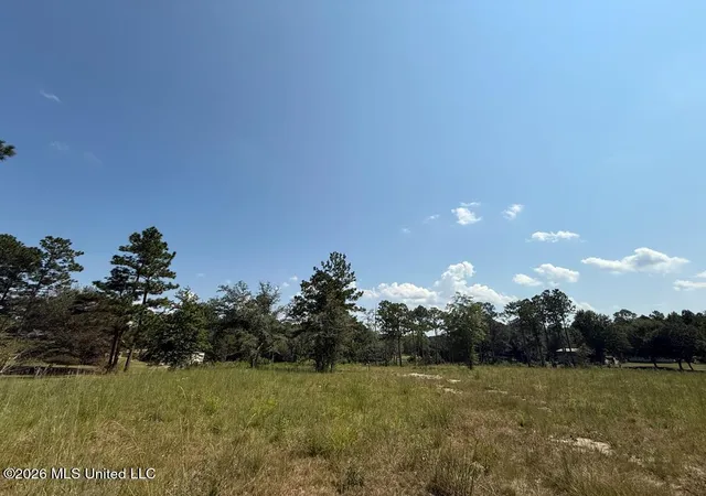Photo 2 of Land for sale at Cypress Pl, Perkinston, MS 39573 | MLS# 4164616 | Listing updated on 2026-10-05