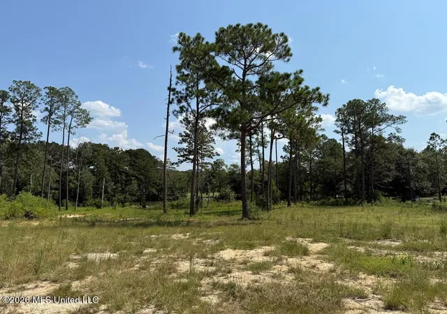 Photo 3 of Land for sale at Cypress Pl, Perkinston, MS 39573 | MLS# 4164616 | Listing updated on 2026-10-05