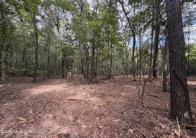 Land for sale at 5220 E Highway 80, Pearl, MS 39208 | MLS# 4164753