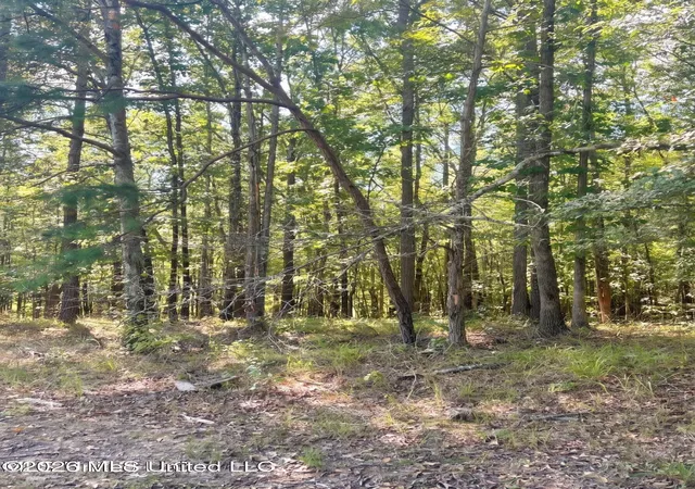 Photo 2 of Land for sale at 4811 Holcomb Sweethome Rd, Holcomb, MS 38940 | MLS# 4164699 | Listing updated on 2026-10-06