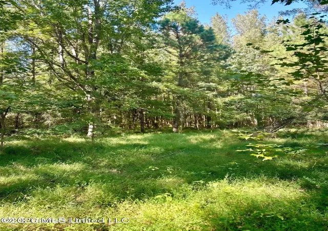Photo 3 of Land for sale at 4811 Holcomb Sweethome Rd, Holcomb, MS 38940 | MLS# 4164699 | Listing updated on 2026-10-06