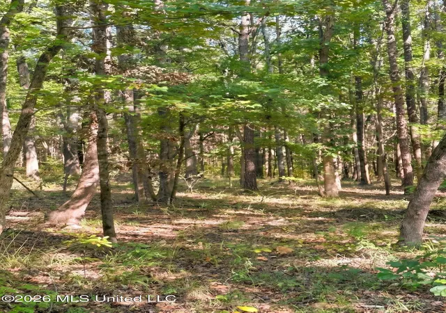 Photo 4 of Land for sale at 4811 Holcomb Sweethome Rd, Holcomb, MS 38940 | MLS# 4164699 | Listing updated on 2026-10-06