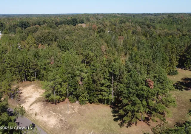 Photo 1 of Land for sale at Jeffries Rd, Potts Camp, MS 38659 | MLS# 4164763 | Listing updated on 2026-10-06