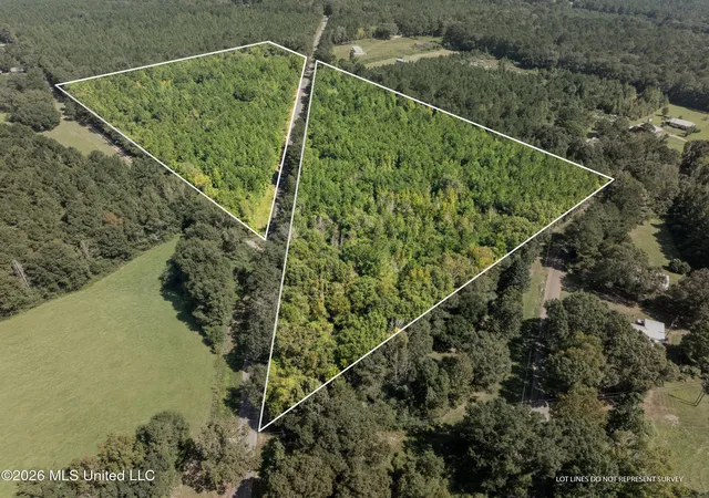 Photo 1 of Land for sale at 326 Magee Hl Rd, Tylertown, MS 39667 | MLS# 4164696 | Listing updated on 2026-10-06