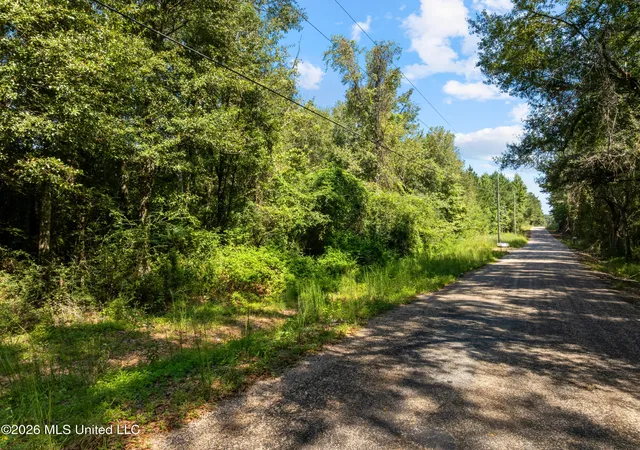 Photo 3 of Land for sale at 326 Magee Hl Rd, Tylertown, MS 39667 | MLS# 4164696 | Listing updated on 2026-10-06
