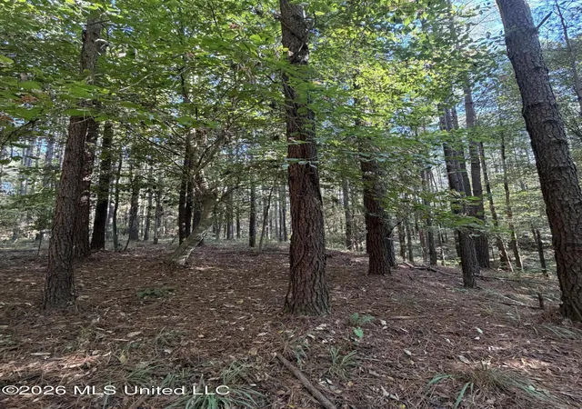 Photo 2 of Land for sale at Coons Ml Rd, Centreville, MS 39631 | MLS# 4165484 | Listing updated on 2026-10-14