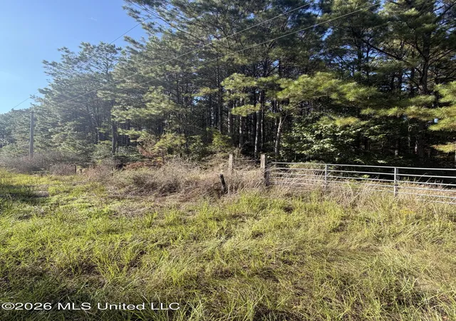 Photo 3 of Land for sale at Coons Ml Rd, Centreville, MS 39631 | MLS# 4165484 | Listing updated on 2026-10-14