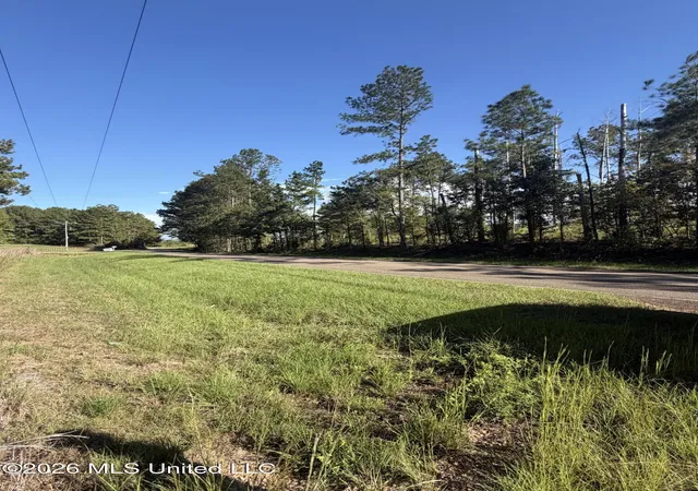 Photo 4 of Land for sale at Coons Ml Rd, Centreville, MS 39631 | MLS# 4165484 | Listing updated on 2026-10-14
