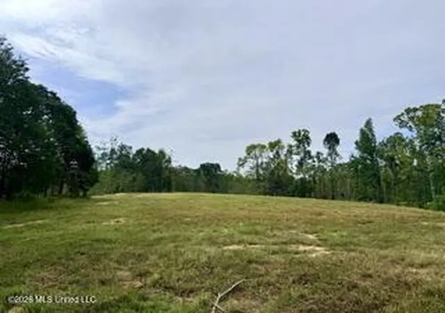 Photo 1 of Land for sale at 157 Ms 310, Como, MS 38619 | MLS# 4164855 | Listing updated on 2026-10-19