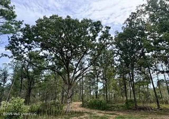 Photo 2 of Land for sale at 157 Ms 310, Como, MS 38619 | MLS# 4164855 | Listing updated on 2026-10-19