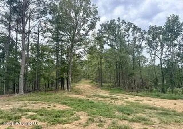 Photo 3 of Land for sale at 157 Ms 310, Como, MS 38619 | MLS# 4164855 | Listing updated on 2026-10-19