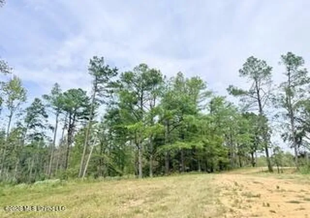 Photo 4 of Land for sale at 157 Ms 310, Como, MS 38619 | MLS# 4164855 | Listing updated on 2026-10-19