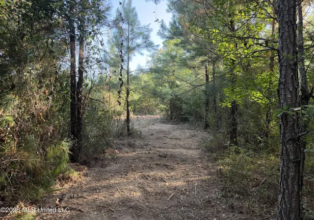 Land for sale at Ms 570, Summit, MS 39666 | MLS# 4164967