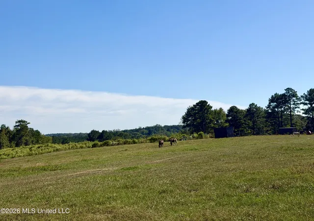 Photo 2 of Land for sale at 2416 Lake Lincoln Dr, Wesson, MS 39191 | MLS# 4165079 | Listing updated on 2026-10-09