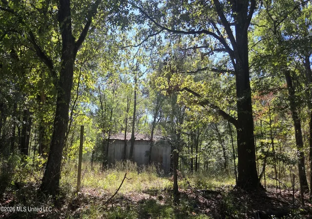 Land for sale at 0 Bill Strong Rd, Edwards, MS 39066 | MLS# 4165248