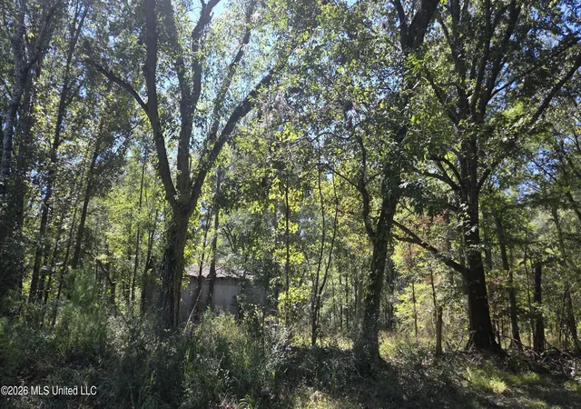 Photo 1 of Land for sale at 0 Bill Strong Rd, Edwards, MS 39066 | MLS# 4165248 | Listing updated on 2026-10-12