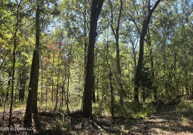 Photo 2 of Land for sale at 0 Bill Strong Rd, Edwards, MS 39066 | MLS# 4165248 | Listing updated on 2026-10-12