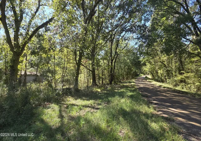 Photo 4 of Land for sale at 0 Bill Strong Rd, Edwards, MS 39066 | MLS# 4165248 | Listing updated on 2026-10-12