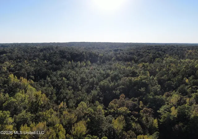 Photo 4 of Land for sale at 1000 Colston Rd, Holly Springs, MS 38635 | MLS# 4165237 | Listing updated on 2026-10-12