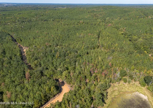 Photo 3 of Land for sale at Lake Rd, Duck Hill, MS 38925 | MLS# 4165256 | Listing updated on 2026-10-21
