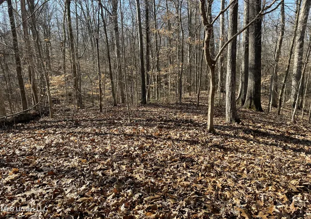 Photo 1 of Land for sale at 2311 Pocahontas Cvs, Hernando, MS 38632 | MLS# 4165226 | Listing updated on 2026-10-11