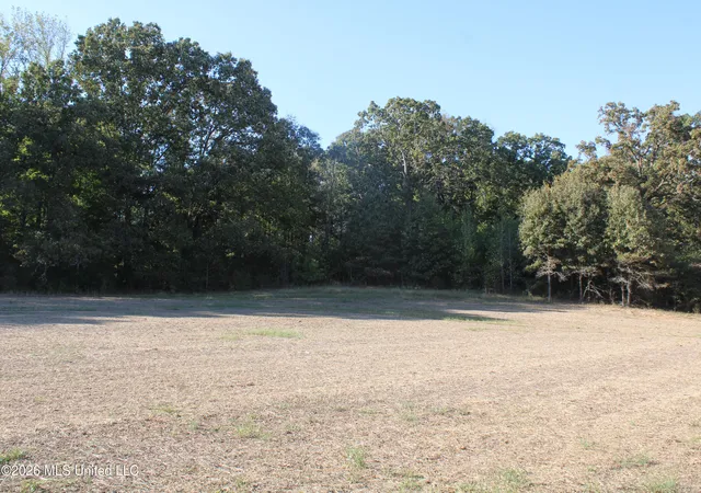 Photo 1 of Sale Pending at 0 Old Hudsonville Rd, Holly Springs, MS 38635 | MLS# 4165236 | Listing updated on 2026-10-16