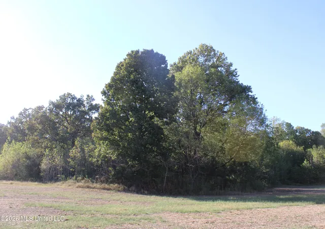 Photo 3 of Sale Pending at 0 Old Hudsonville Rd, Holly Springs, MS 38635 | MLS# 4165236 | Listing updated on 2026-10-16