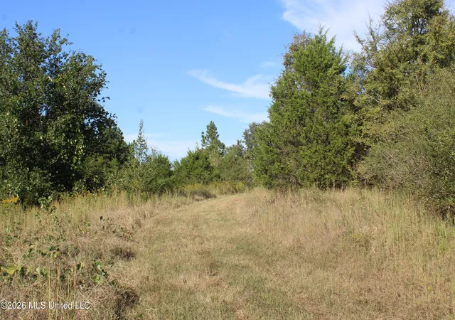 Photo 4 of Sale Pending at 0 Old Hudsonville Rd, Holly Springs, MS 38635 | MLS# 4165236 | Listing updated on 2026-10-16
