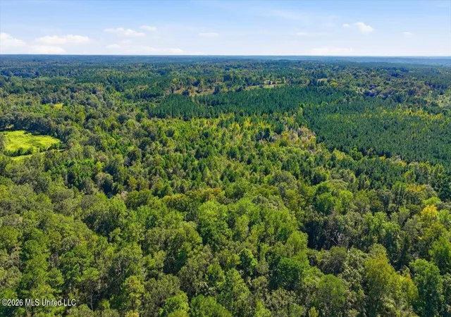 Photo 1 of Land for sale at Tom Berry Rd, Mendenhall, MS 39114 | MLS# 4165246 | Listing updated on 2026-10-12