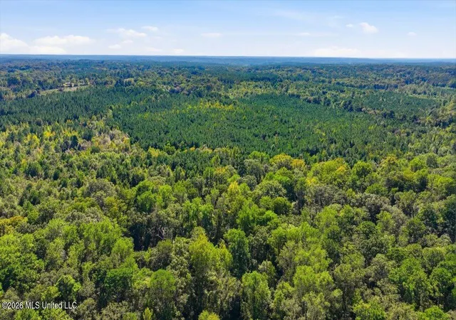 Photo 2 of Land for sale at Tom Berry Rd, Mendenhall, MS 39114 | MLS# 4165246 | Listing updated on 2026-10-12