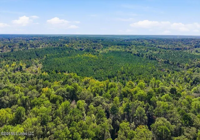 Photo 3 of Land for sale at Tom Berry Rd, Mendenhall, MS 39114 | MLS# 4165246 | Listing updated on 2026-10-12