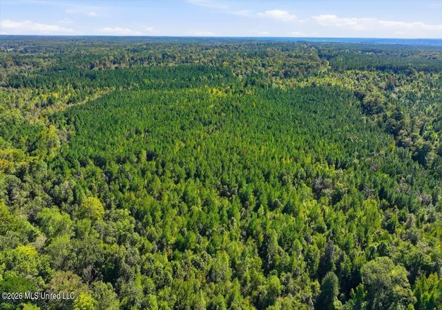 Photo 4 of Land for sale at Tom Berry Rd, Mendenhall, MS 39114 | MLS# 4165246 | Listing updated on 2026-10-12