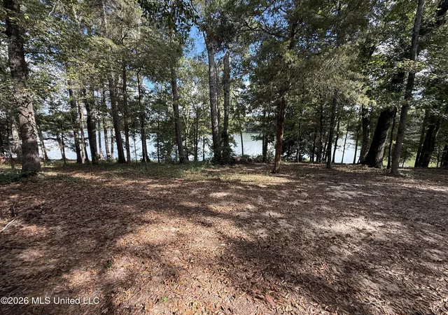 Photo 4 of Manufactured home for sale at 179 Scr 50a1, Mize, MS 39116 | MLS# 4165431 | Listing updated on 2026-10-13