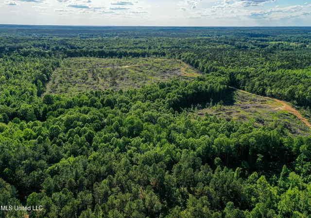 Photo 1 of Land for sale at 001 County Rd 433, Thaxton, MS 38871 | MLS# 4165259 | Listing updated on 2026-10-12