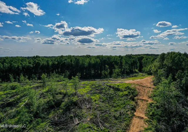 Photo 3 of Land for sale at 001 County Rd 433, Thaxton, MS 38871 | MLS# 4165259 | Listing updated on 2026-10-12