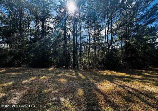 Land for sale at E Lake Cypress Dr, Perkinston, MS 39573 | MLS# 4165367