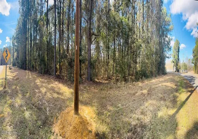 Photo 2 of Land for sale at E Lake Cypress Dr, Perkinston, MS 39573 | MLS# 4165367 | Listing updated on 2026-10-13